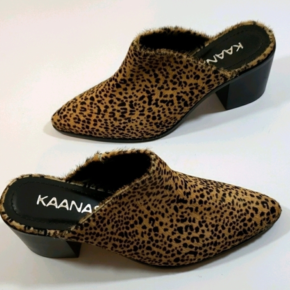 Kaanas Shoes - Kaanas~Size 6M~Leo-Sagrantino Pointy Heeled Shoes.